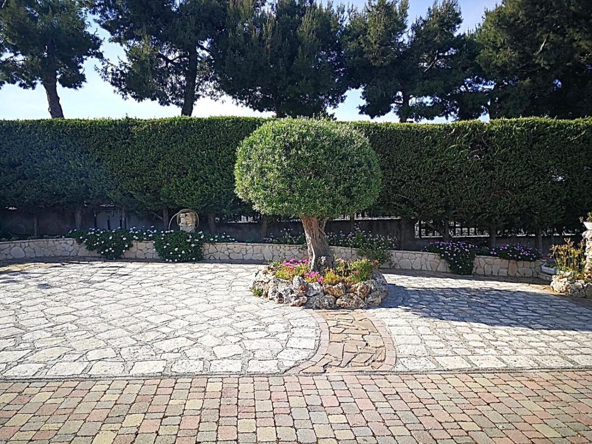 Villa Arenella Vieste Exteriér fotografie
